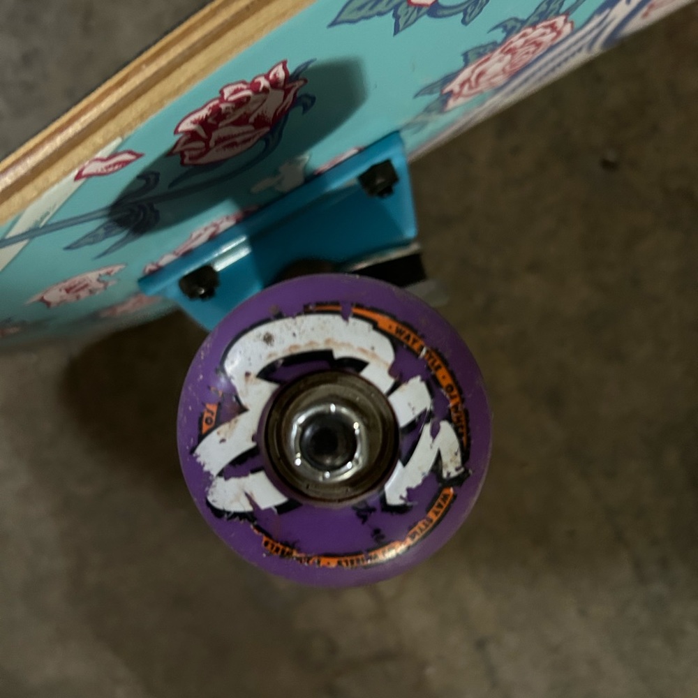 Santa Cruz Skateboard